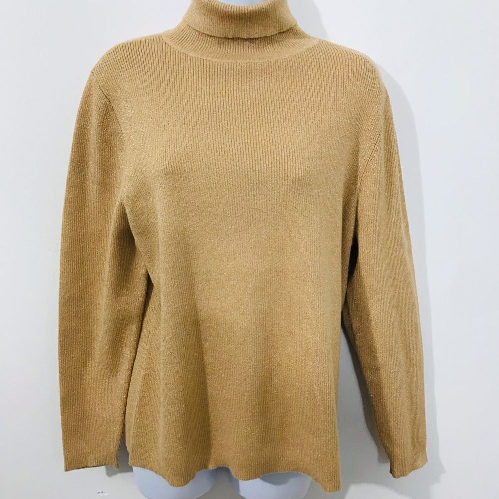 Context Turtleneck long sleeve pull over size 2X….S70